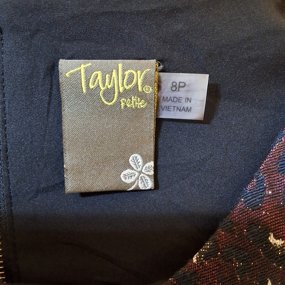 NWT TAYLOR ZIPPERED SLEEVELESS JEWEL NECK ABOVE KNEE FIT + FLARE DRESS - Picture 7 of 12